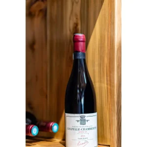 red-wine-domaine-jean-louis-trapet-pere-fils-chapelle-chambertin-grand-cru-2016-burgundy