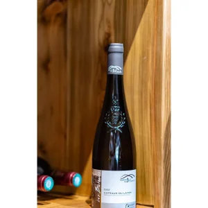 white-wine-domaine-des-3-monts-les-bretonnes-coteaux-du-layon-val-de-loire