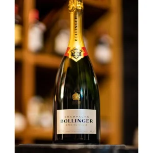 champagne-bollinger-cuvee-speciale-rose-magnum